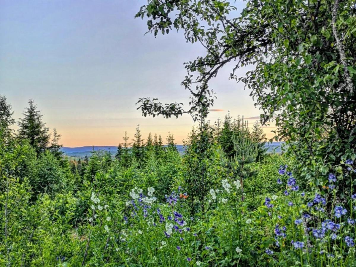 Glamping Tent With Amazing View In The Forest Torsby Bagian luar foto