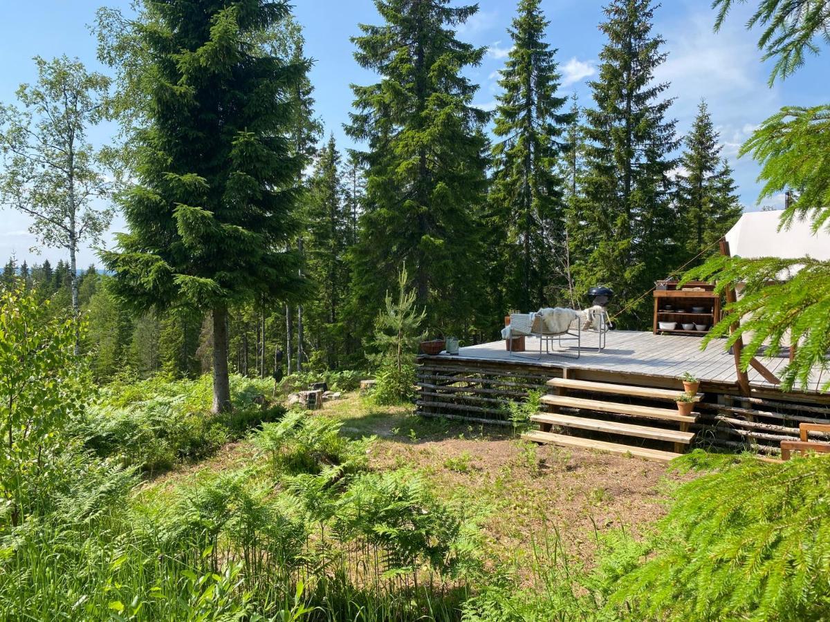 Glamping Tent With Amazing View In The Forest Torsby Bagian luar foto
